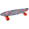 Скейтборд TECH TEAM FISHBOARD PRINT 23 серый NN004158